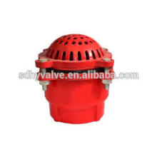 DN50-DN300 PN16/CLASS 125 Cast Iron price foot valve